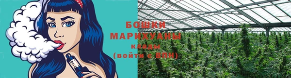 МДПВ Богородицк